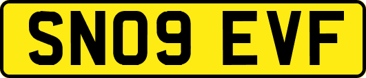 SN09EVF