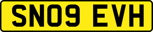 SN09EVH