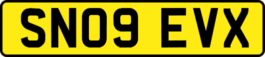 SN09EVX