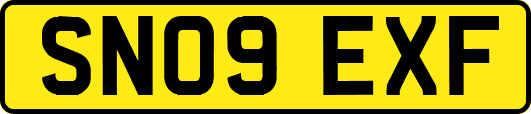 SN09EXF