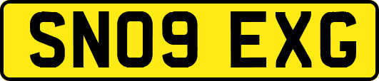 SN09EXG