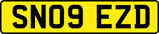 SN09EZD