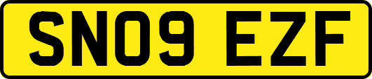 SN09EZF