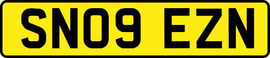 SN09EZN