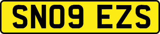 SN09EZS