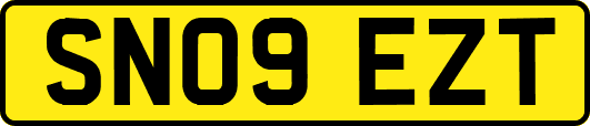 SN09EZT