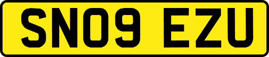 SN09EZU