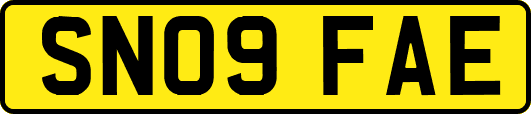 SN09FAE