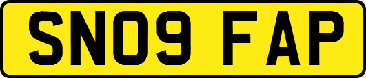 SN09FAP