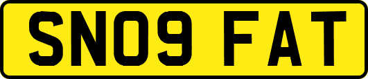 SN09FAT