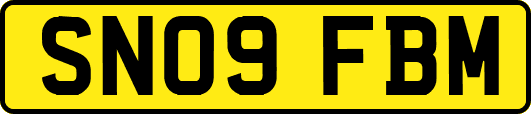 SN09FBM
