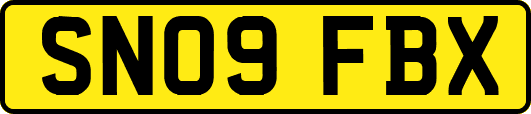 SN09FBX
