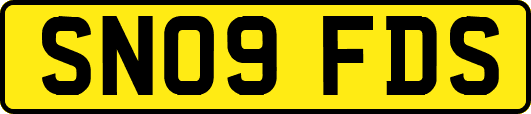 SN09FDS
