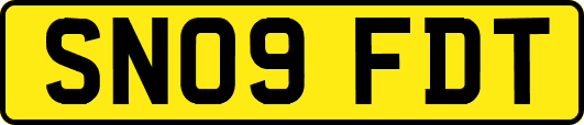 SN09FDT