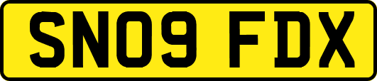 SN09FDX