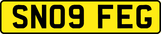 SN09FEG