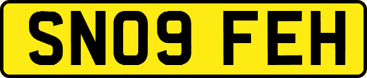 SN09FEH