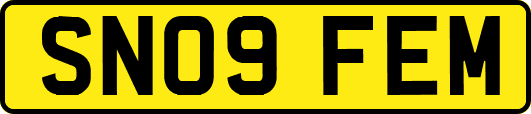 SN09FEM