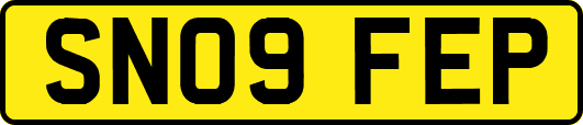 SN09FEP