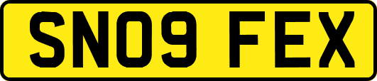 SN09FEX