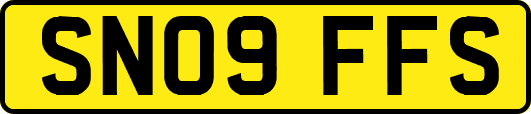 SN09FFS