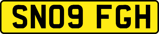SN09FGH