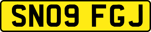 SN09FGJ