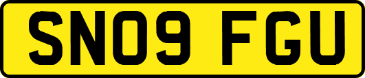 SN09FGU