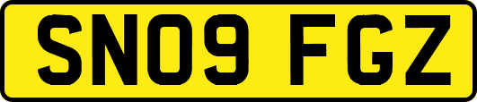 SN09FGZ
