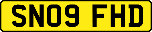 SN09FHD