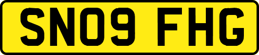 SN09FHG