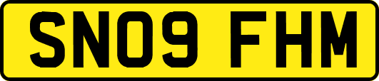 SN09FHM