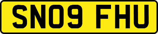 SN09FHU