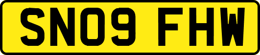SN09FHW