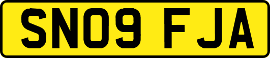 SN09FJA