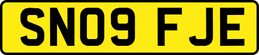SN09FJE