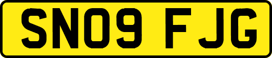SN09FJG