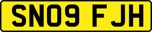 SN09FJH