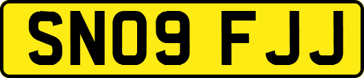 SN09FJJ