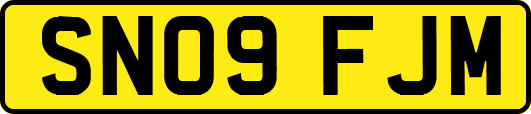 SN09FJM