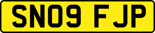 SN09FJP