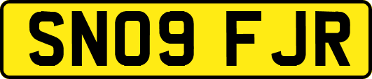 SN09FJR