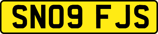 SN09FJS