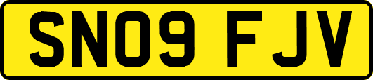 SN09FJV