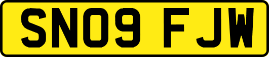 SN09FJW