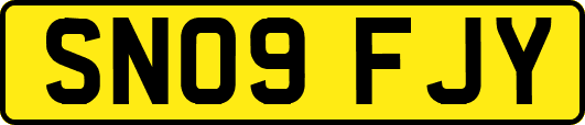 SN09FJY