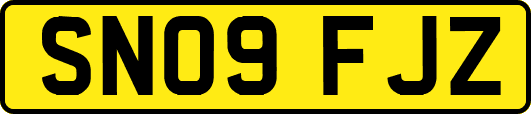 SN09FJZ