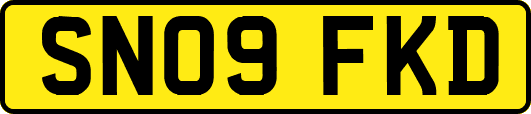 SN09FKD