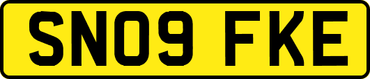 SN09FKE