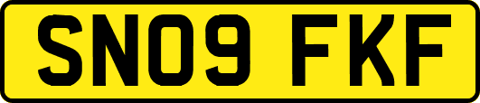 SN09FKF